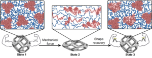 graphic showing materials being stretch and bouncing back to shape stronger than before